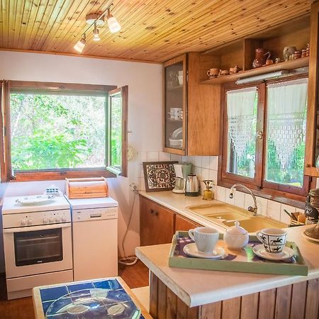 Estate Irene Villa Alexandroúpolis Ngoại thất bức ảnh