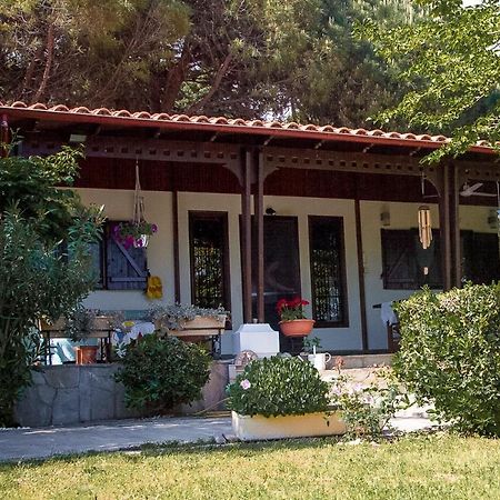 Estate Irene Villa Alexandroúpolis Ngoại thất bức ảnh