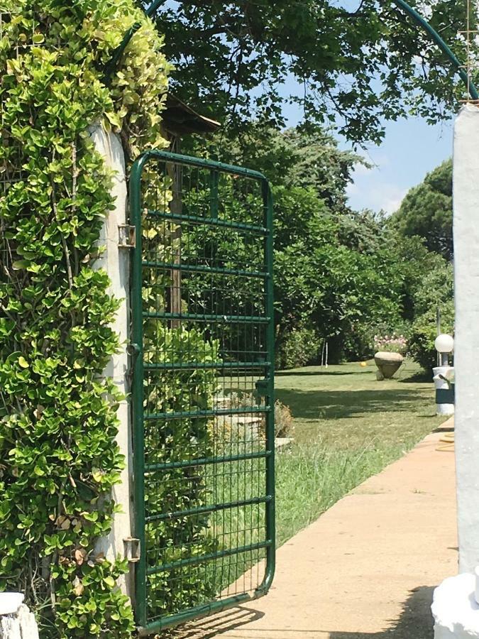 Estate Irene Villa Alexandroúpolis Ngoại thất bức ảnh